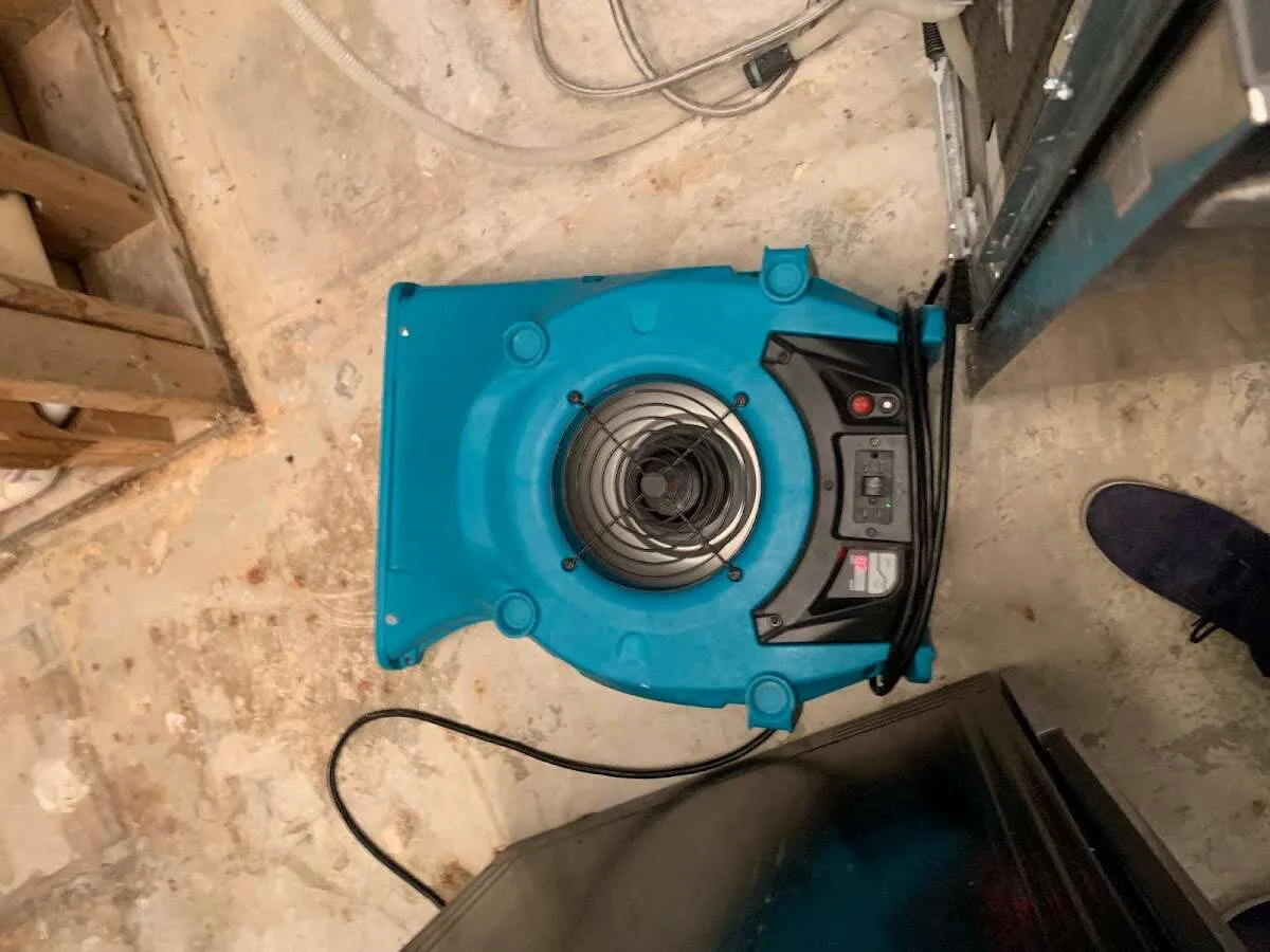 Air mover drying equipment for Mold Remediation & Removal in Cambridge