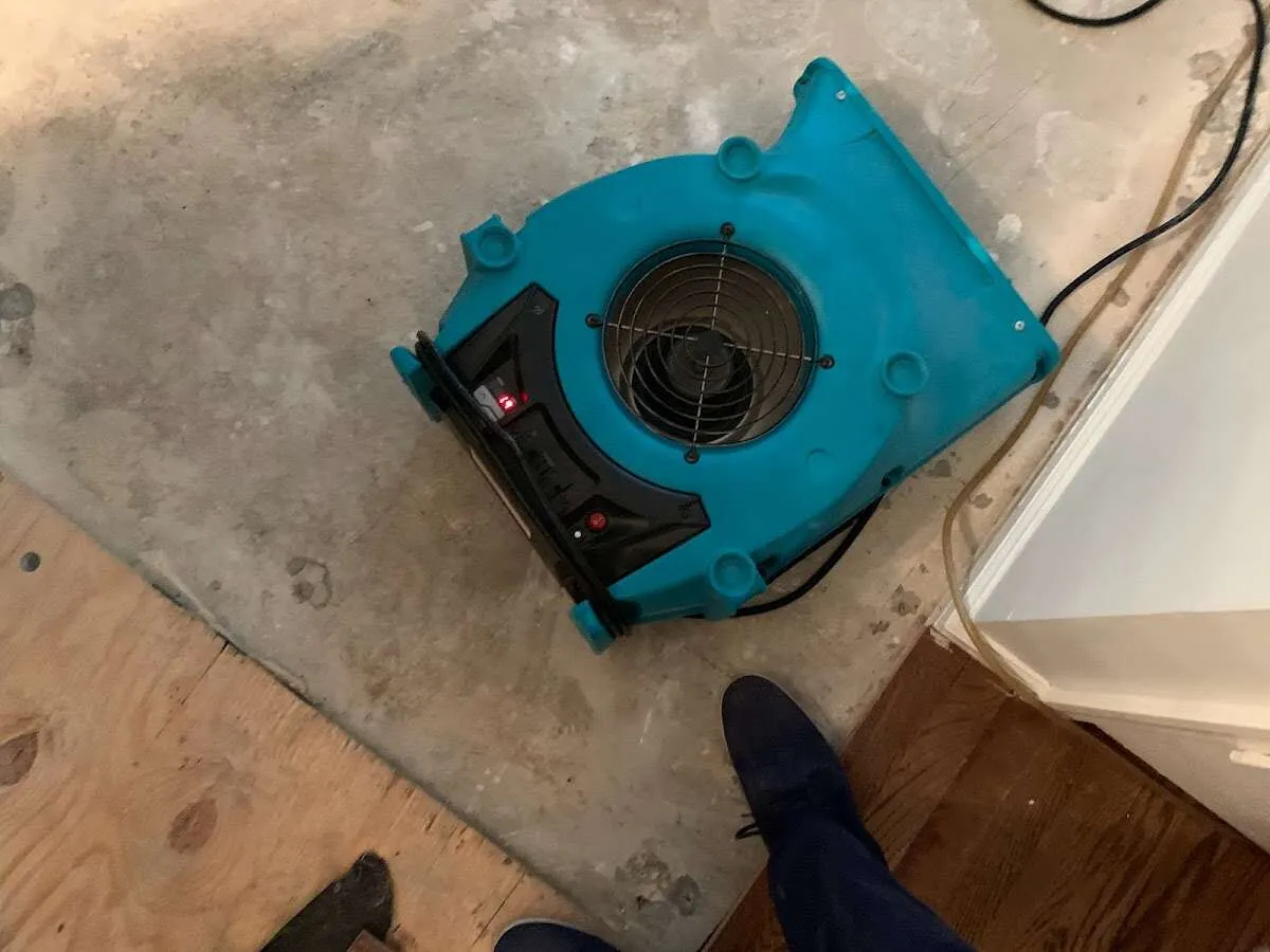Air mover drying subfloor during Leak Detection & Repair in Cambridge
